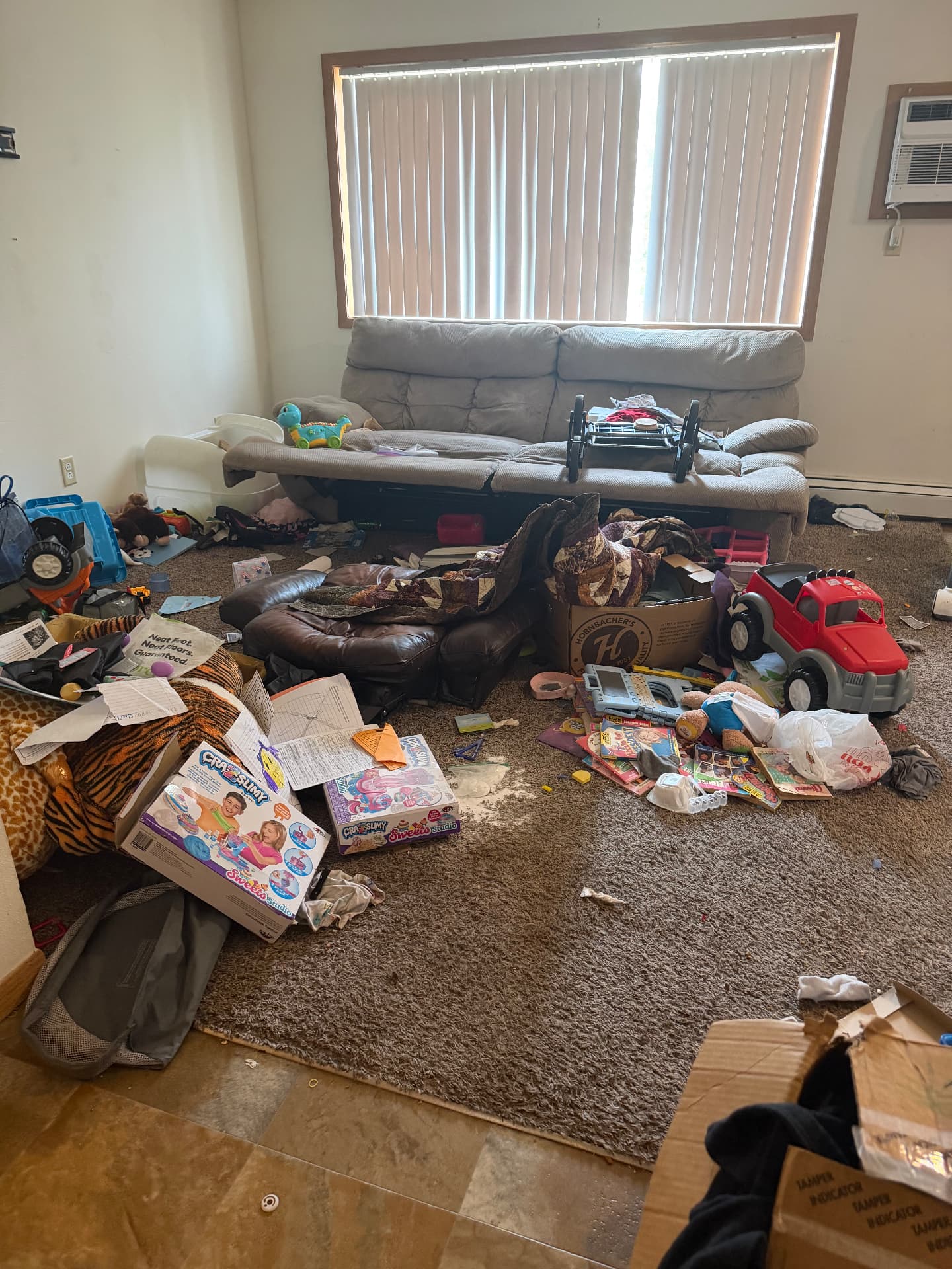 Before: a living room filled with clutter awaiting cleanout